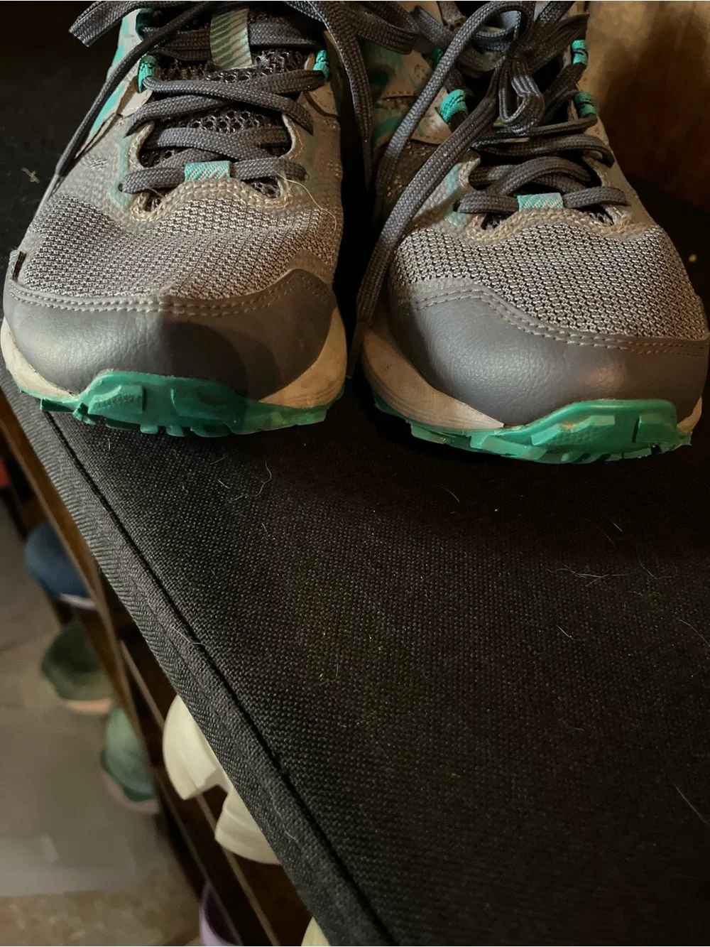 ASICS Women's Gray and Teal Trail Running Shoes